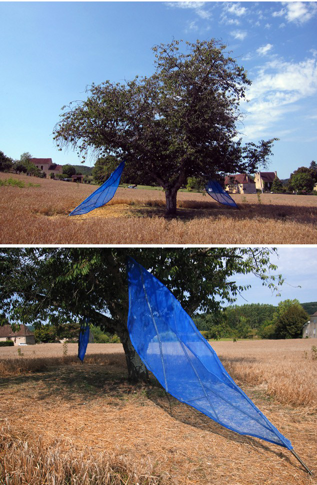 Arbre ailé en Dordogne