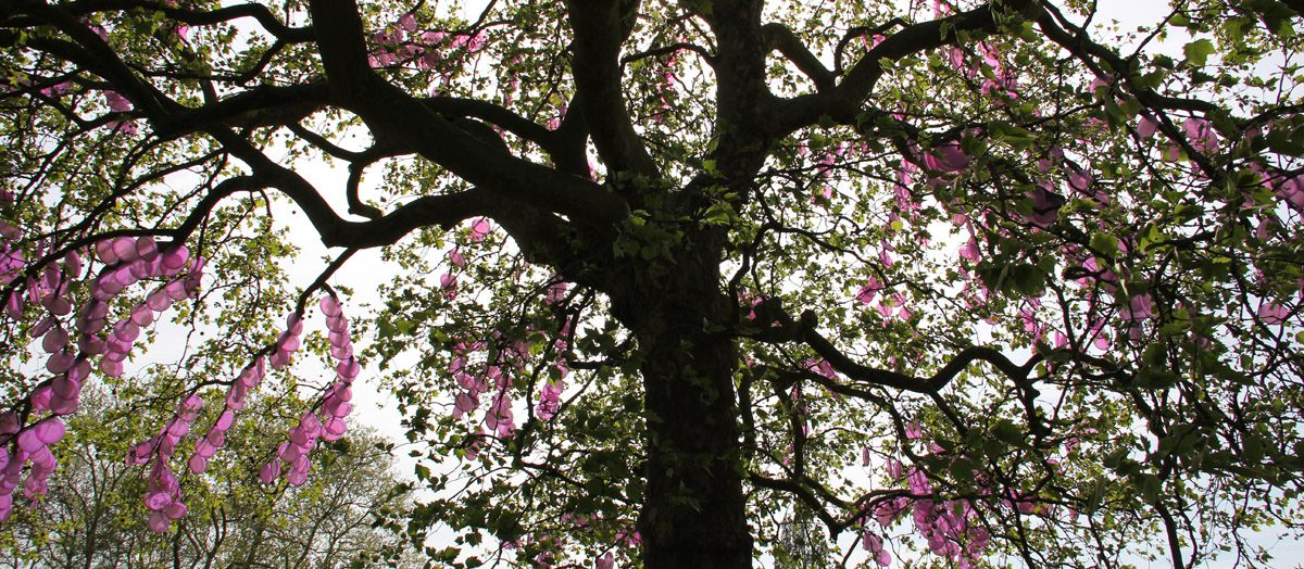 Arbre à photosynthèse