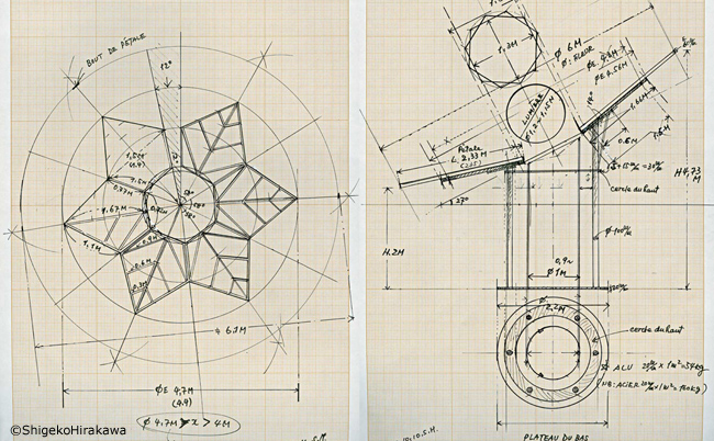 Z-helioflore dessins-650