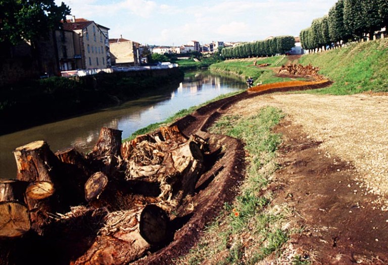 Arbre généalogique - Mort
