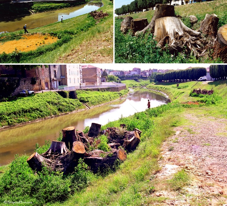 Arbre généalogique - Mort