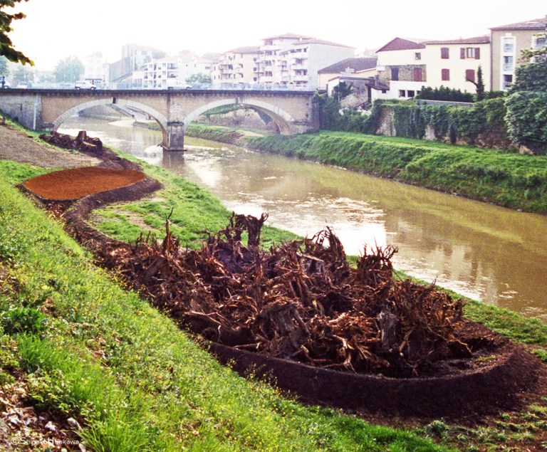 Family Tree - Death, Shigeko Hirakawa