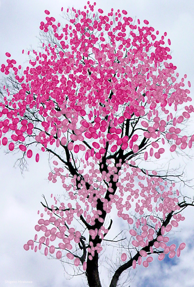 arbre a photosynthese t3