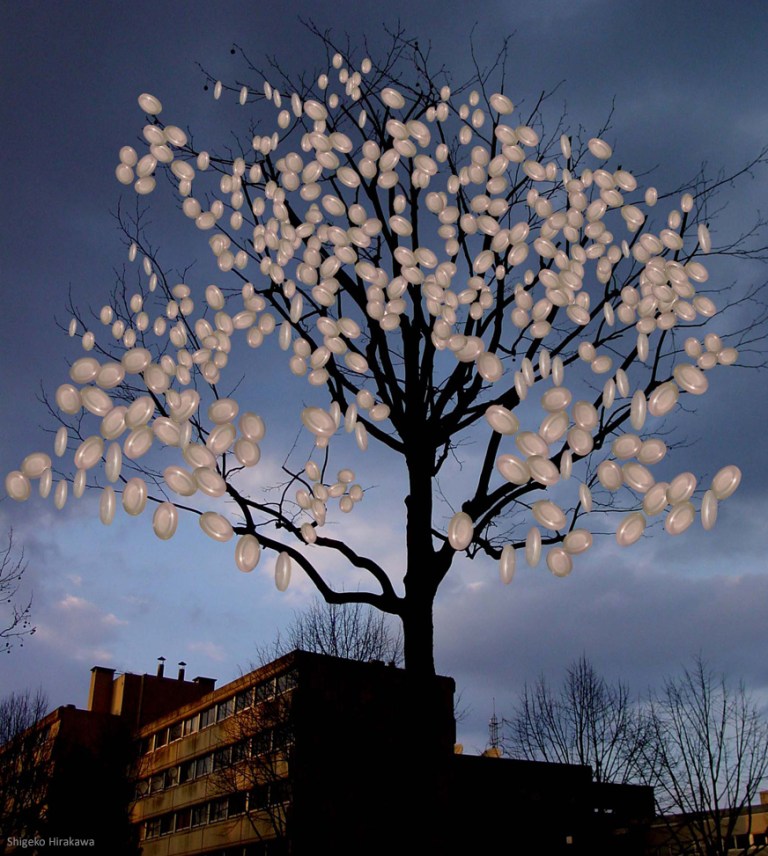 pp_arbre a photosynthesept