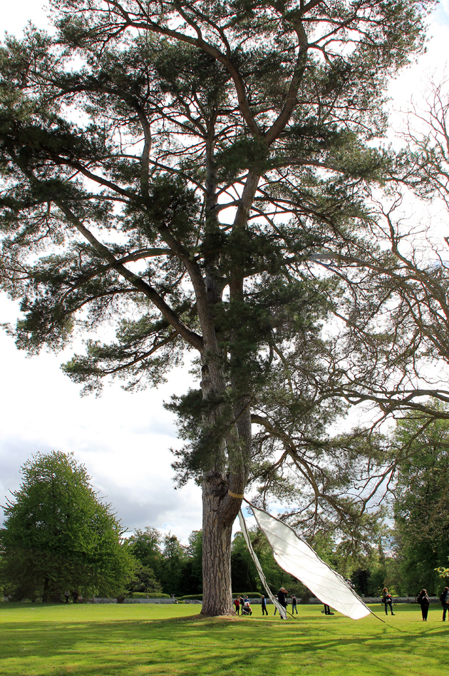 PPIMG_2872ab - Copie