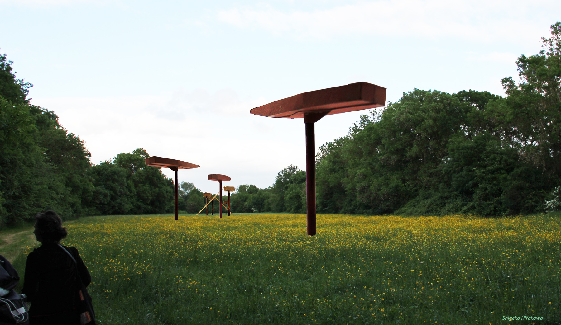 Bateaux perchés Projet d'art environnemental