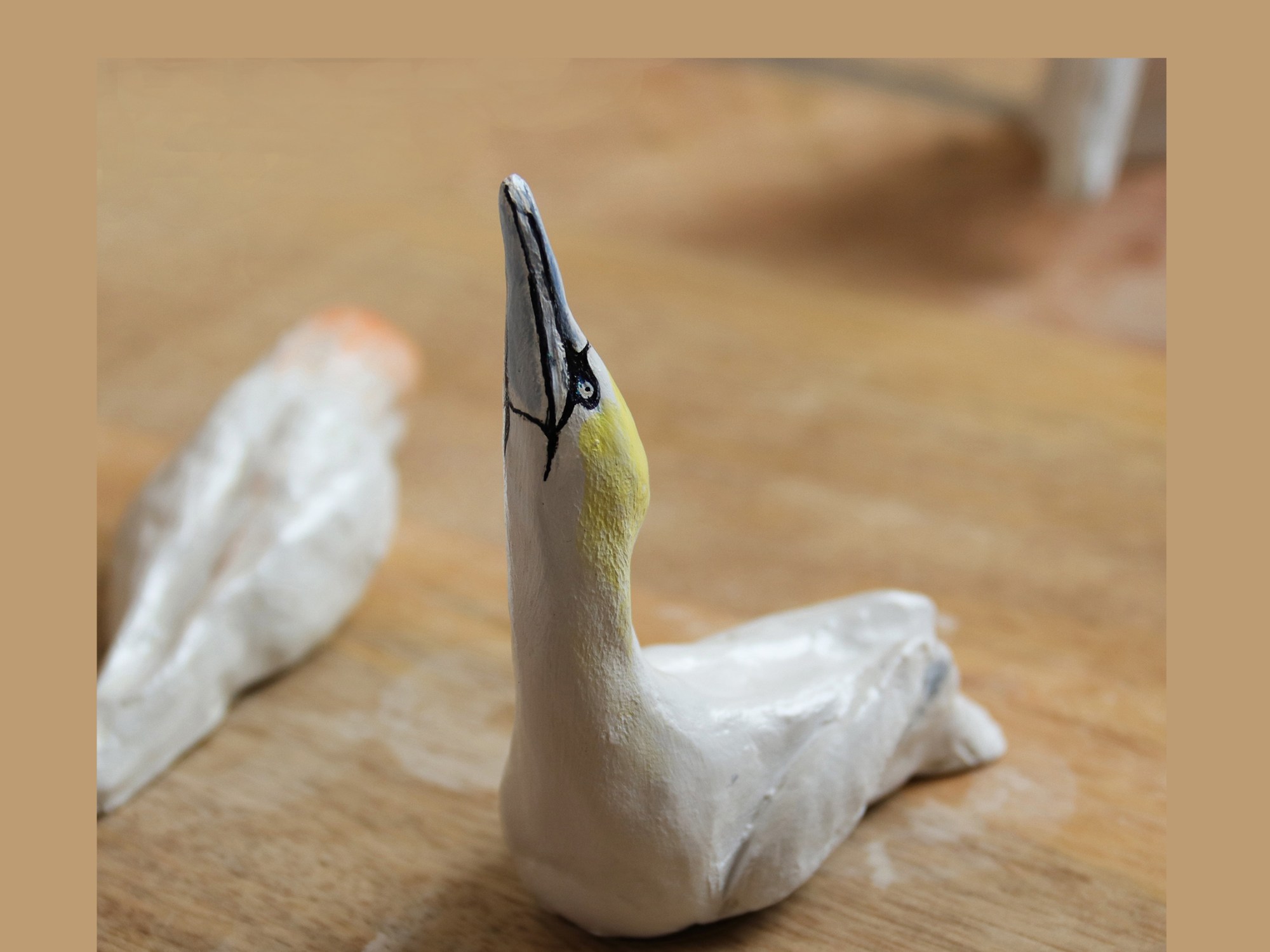 Etude du Fou - oiseau